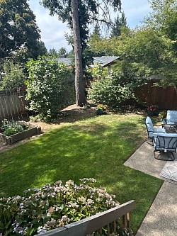 A back yard of a customer who has the standard weekly service plan.