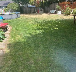 A front yard of a 2500 sq ft property