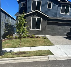 A front yard of a biweekly customer.